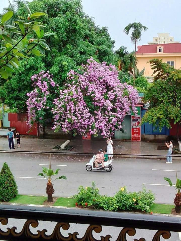 Quang Minh Hotel Ðố Sơn 外观 照片